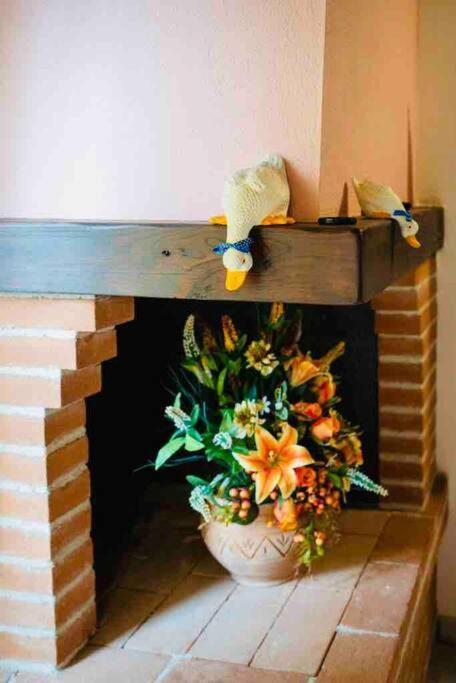 A Casa Di Claudia Apartment Saturnia Bagian luar foto
